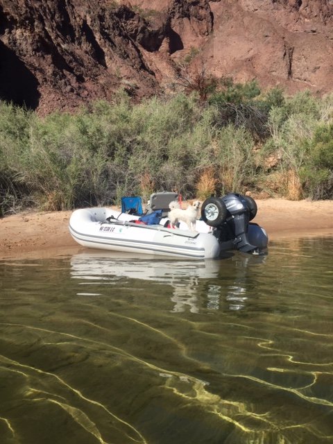 2018 Zodiac and Yamaha 15 on river.