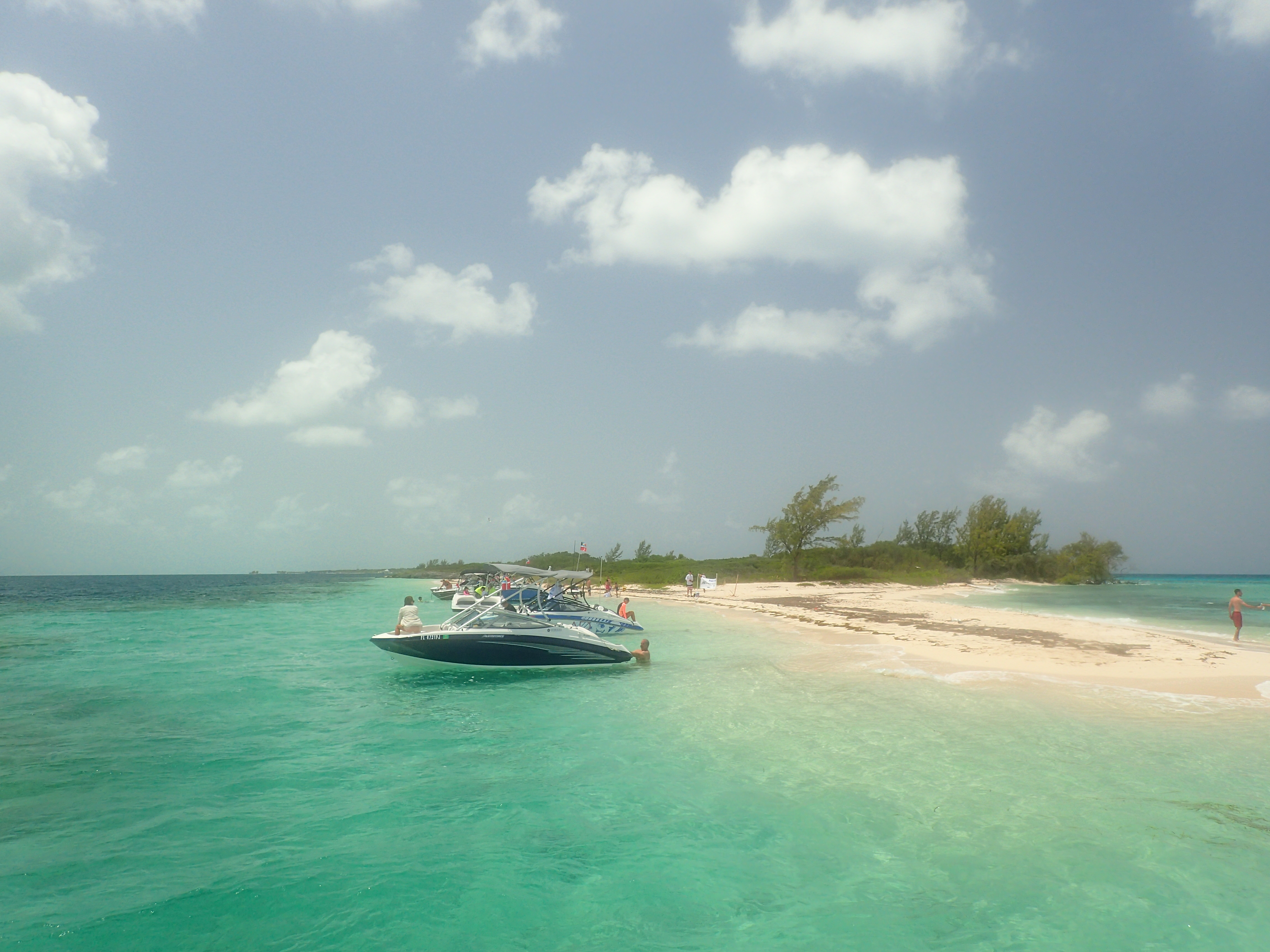 bimini 2015