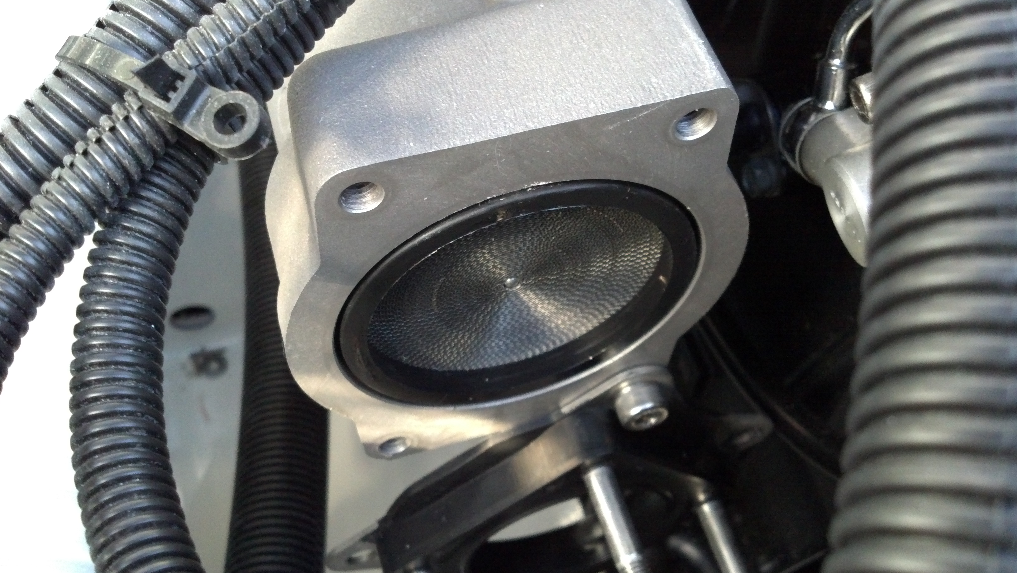 throttle body with spark arrester